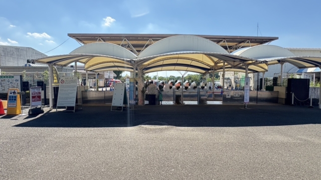 【⛱️川越市の夏！川越水城公園プール開園🏊‍♀️】
