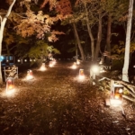 埼玉県秩父郡 月の石もみじ公園