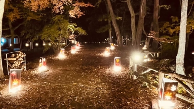 【 埼玉県秩父郡：月の石もみじ公園🍁ライトアップが幻想的すぎる🍁】